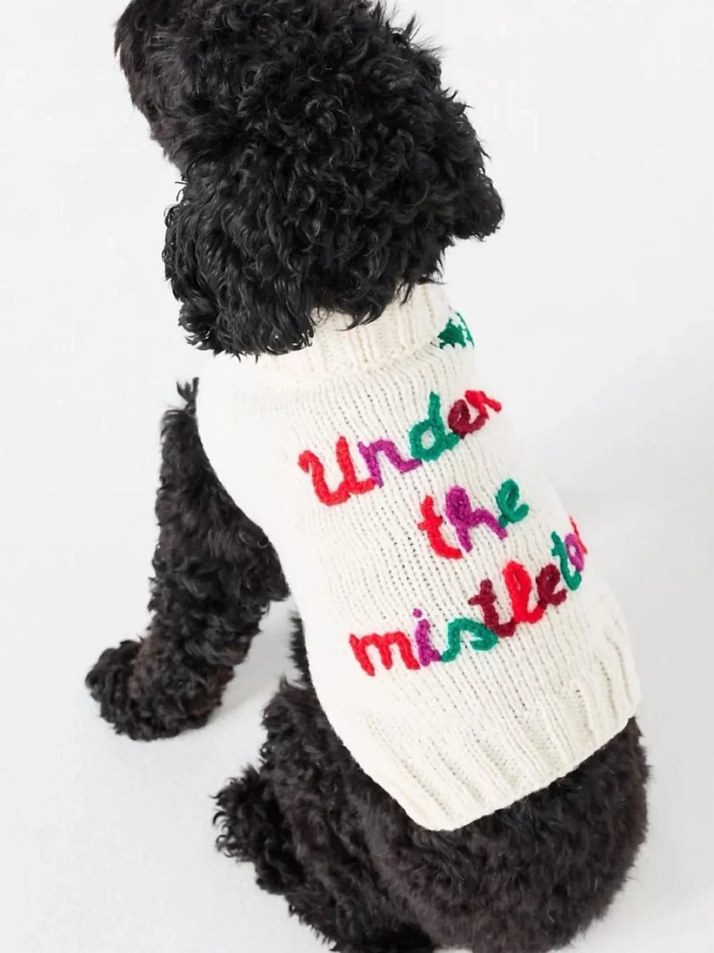 Cozy White 'Under the Mistletoe' Knit Dog Sweater